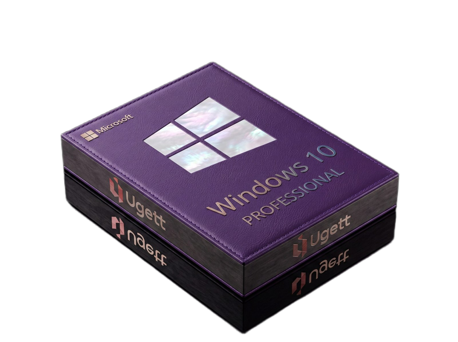 Windows 10 Professional license